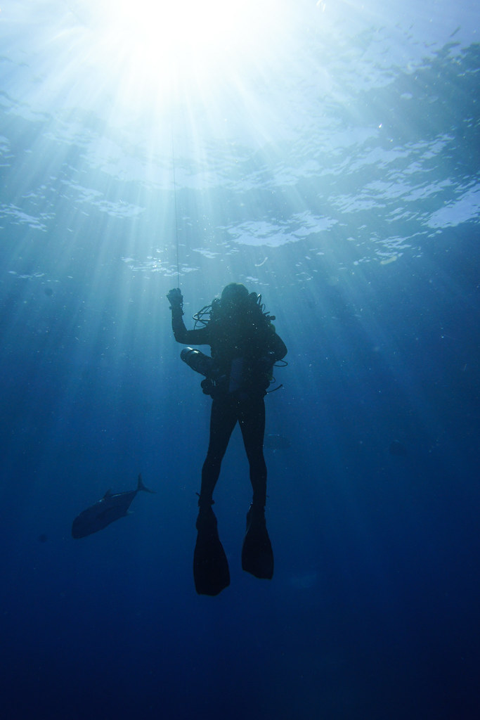 How to Ascend Safely While Scuba Diving