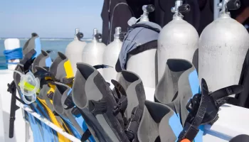 How Expensive is Scuba Diving?