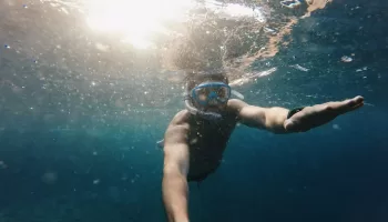 Is scuba diving harder than snorkeling?