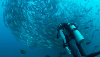 What happens if you cough or sneeze while scuba diving? 